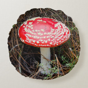 New Zealand, Rotorua, Taupo Volcanic Zone Round Cushion