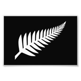 New Zealand Silver Fern Photo Print