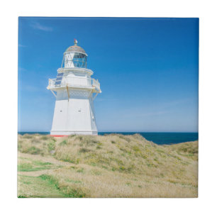 New Zealand, South Island, Catlins, Waipapa Ceramic Tile