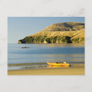 New Zealand, South Island, Marlborough Sounds. 2 Postcard