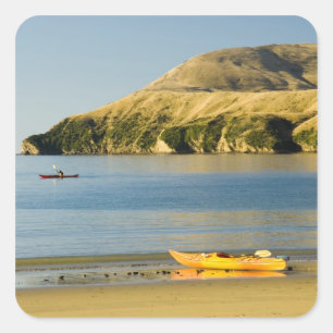 New Zealand, South Island, Marlborough Sounds. 2 Square Sticker