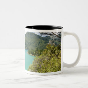 New Zealand, South Island, Marlborough Sounds. Two-Tone Coffee Mug