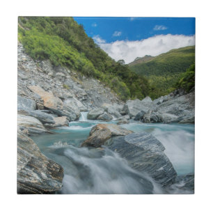 New Zealand, South Island, Mt. Aspiring National Ceramic Tile