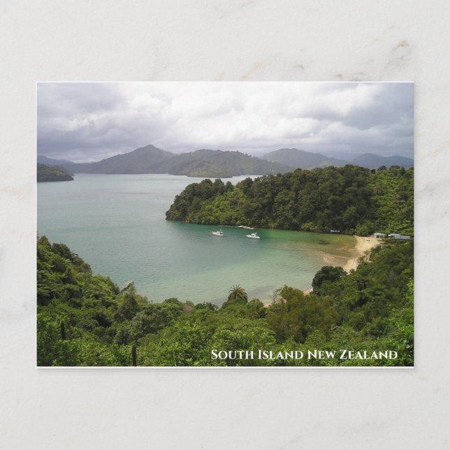 New Zealand South Island Postcard (Front)