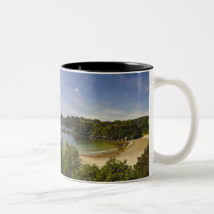 New Zealand, Southland, Stewart Island, Halfmoon Two-Tone Coffee Mug