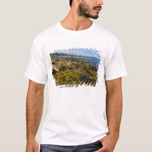 New Zealand, Southland, Stewart Island. Kelp T-Shirt