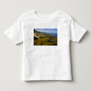 New Zealand, Southland, Stewart Island. Kelp Toddler T-Shirt
