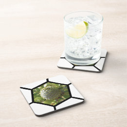 New Zealand Souvenir Kauri Cone Coaster