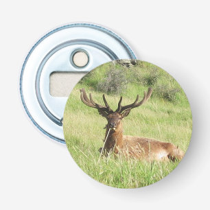 New Zealand Stags Bottle Opener
