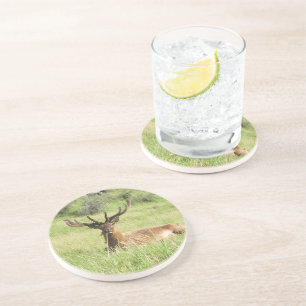 New Zealand Stags Coaster