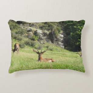 New Zealand Stags Decorative Cushion