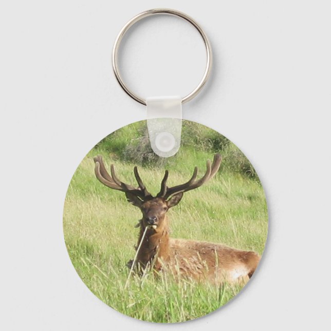 New Zealand Stags Key Ring (Front)