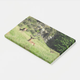 New Zealand Stags Post-it Notes