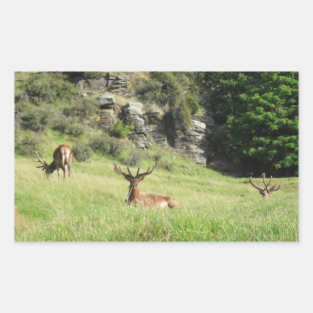 New Zealand Stags Rectangular Sticker (Front)