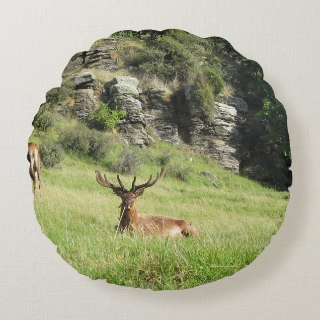 New Zealand Stags Round Cushion (Front)