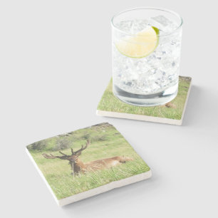 New Zealand Stags Stone Coaster