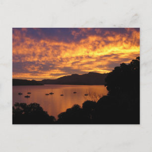 New Zealand Sunset Postcard