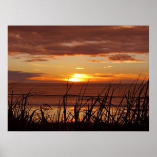 New Zealand Sunset Poster