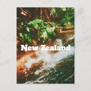 New Zealand Travel Print Postcard