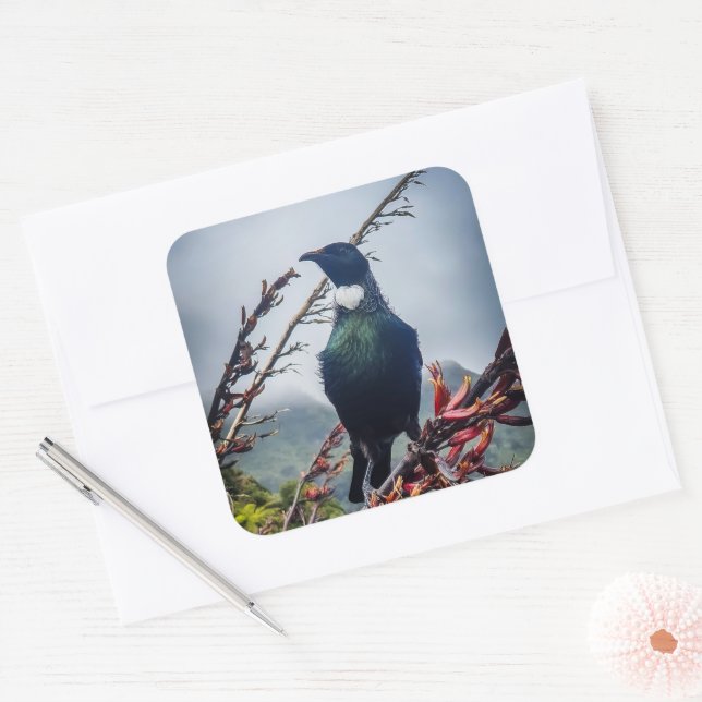 New Zealand Tui Bird Sticker (Envelope)