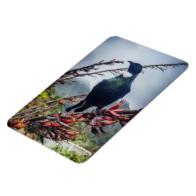 New Zealand Tui Magnet (Left Side)
