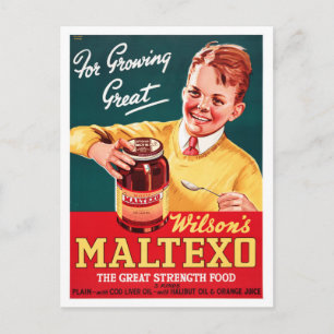 New Zealand Vintage Advertising Poster Postcard