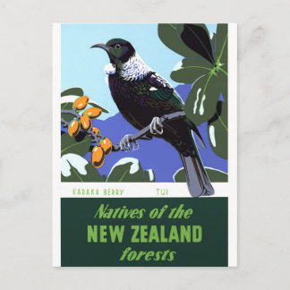 New Zealand Vintage Travel Poster Restored Postcard