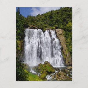 New Zealand Waterfall Postcard