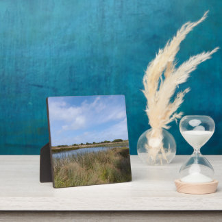 New Zealand West Coast Auckland Whatipu Cave Track Plaque