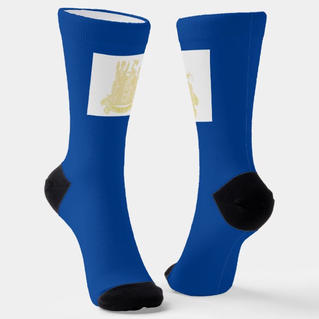 Newark (New Jersey) city flag Socks (Angled)