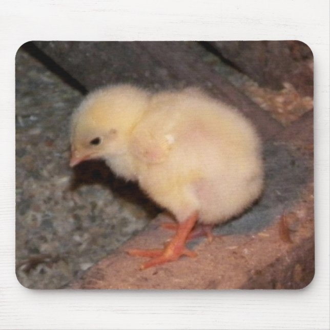 Newborn Chick Mouse Pad (Front)