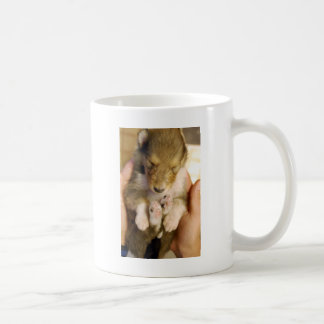 Newborn Collie Puppy Coffee Mug