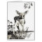 Newborn Fawn card