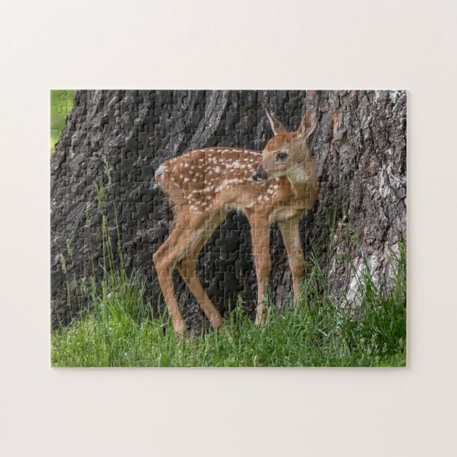 Newborn Fawn Jigsaw Puzzle (Horizontal)