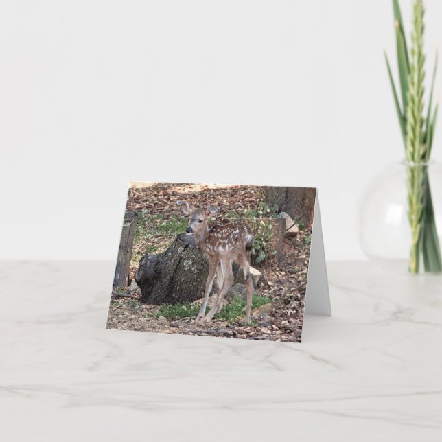 Newborn Fawn Thank You Note Card (Front)