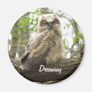 Newborn Great Horned Owl magnet