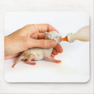 Newborn kitten is fed with milk bottle.JPG Mouse Pad
