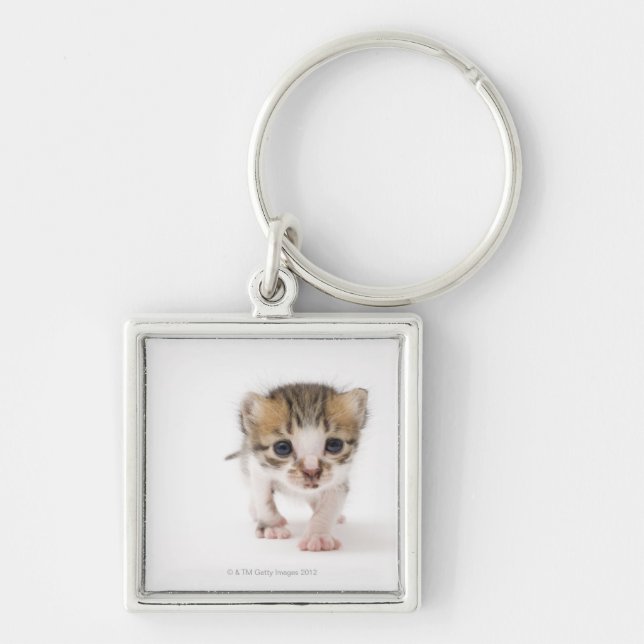 Newborn kitten key ring (Front)