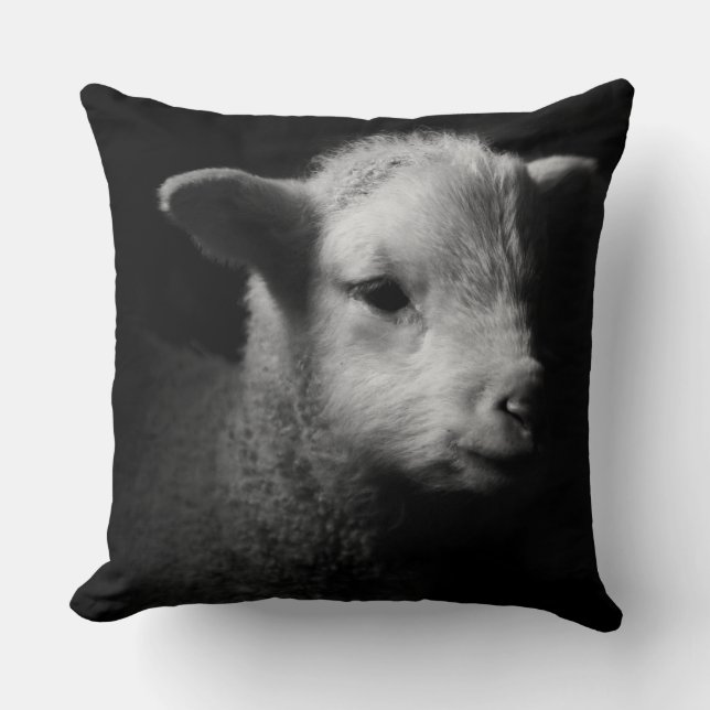 Newborn Lamb Cushion (Front)