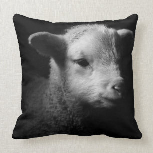 Newborn Lamb Cushion