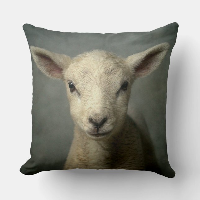 Newborn Lamb Cushion (Front)