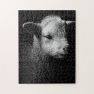 Newborn Lamb Jigsaw Puzzle