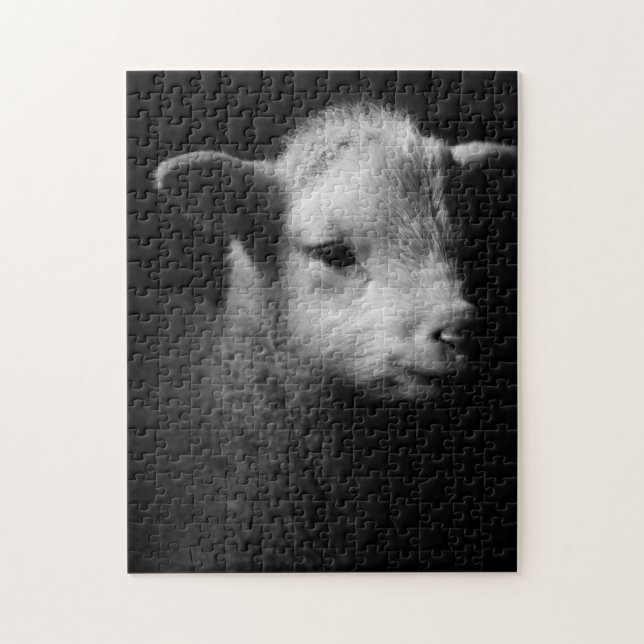 Newborn Lamb Jigsaw Puzzle (Vertical)