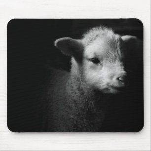 Newborn Lamb Mouse Pad