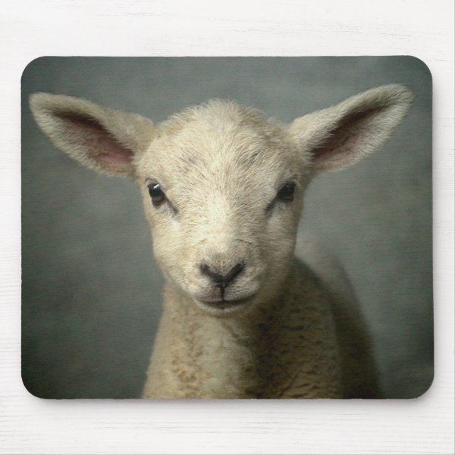 Newborn Lamb Mouse Pad (Front)