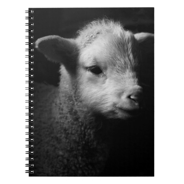 Newborn Lamb Notebook (Front)