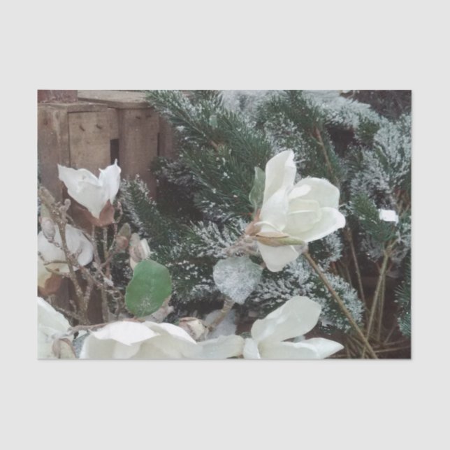 newborn muslin paper (Front)