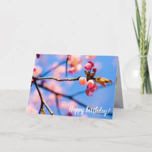 Newborn Sakura Flowers And The Blue Sky Of Spring Card