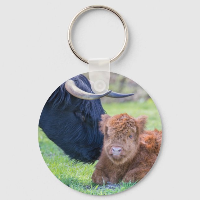 Newborn scottish highlander calf with mother cow key ring (Front)