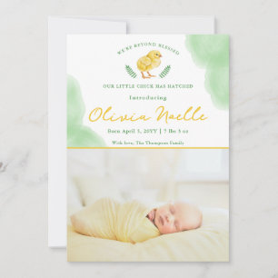 Newborn Spring Baby Photo Announcement With Chick